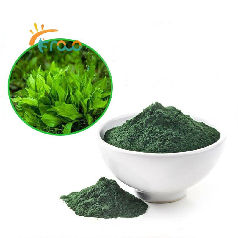 Chlorella Powder