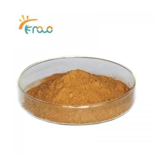 Chaga Mushroom Extract Powder