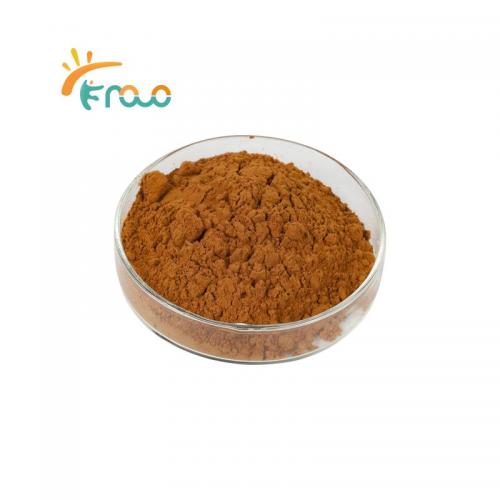  Lion's Mane Mushroom Extract Powder поставщики