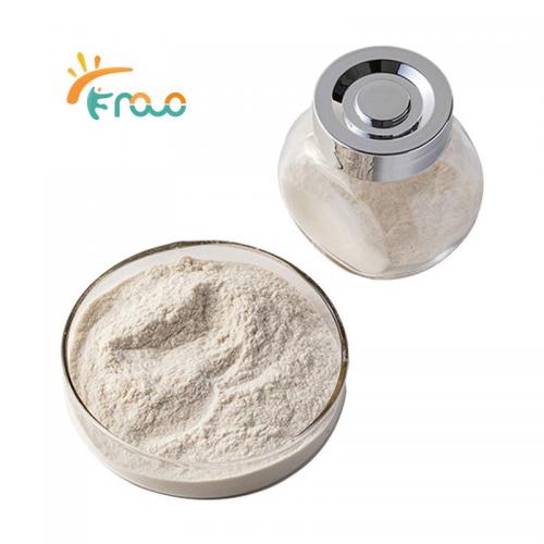  High Density Chitosan Powder поставщики