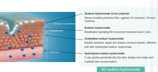 4D гиалуронат натрия (HA)