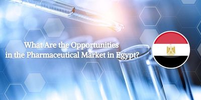 какие возможности на фармацевтическом рынке египта?
