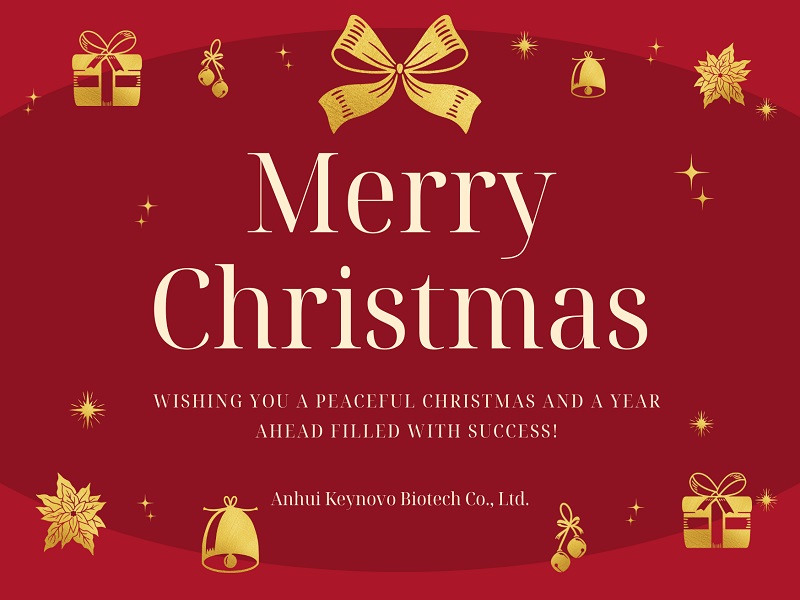 Праздничные пожелания и новогодние надежды от компании Anhui Keynovo Biotech Co., Ltd.