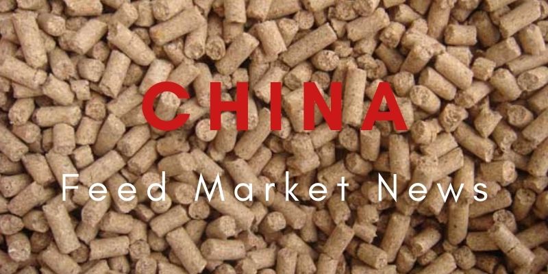 China Feed Maket News - Анализ экспортного рынка лизина в сентябре 2021 года